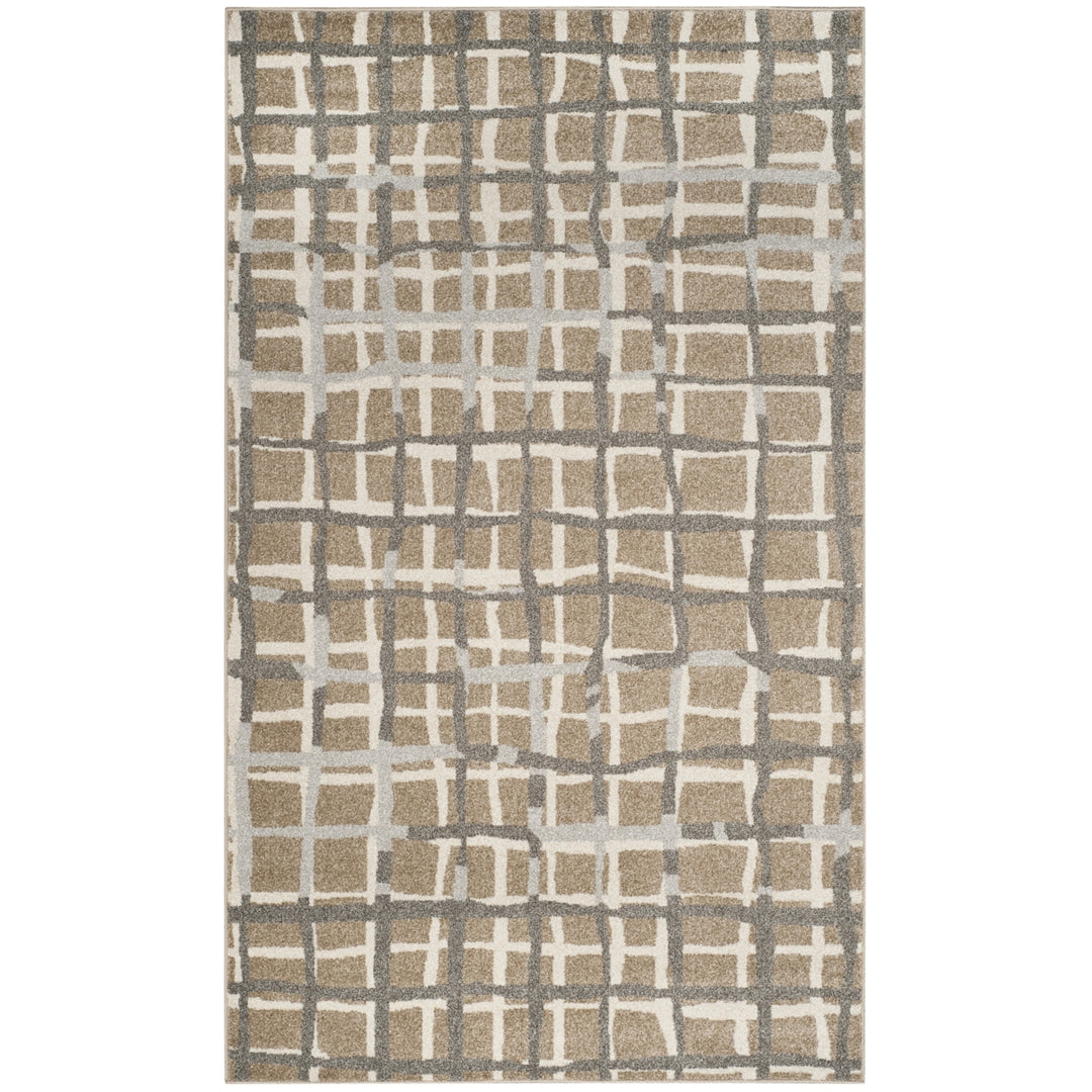 SAFAVIEH Amherst Collection AMT403S Wheat / Beige Rug Image 8