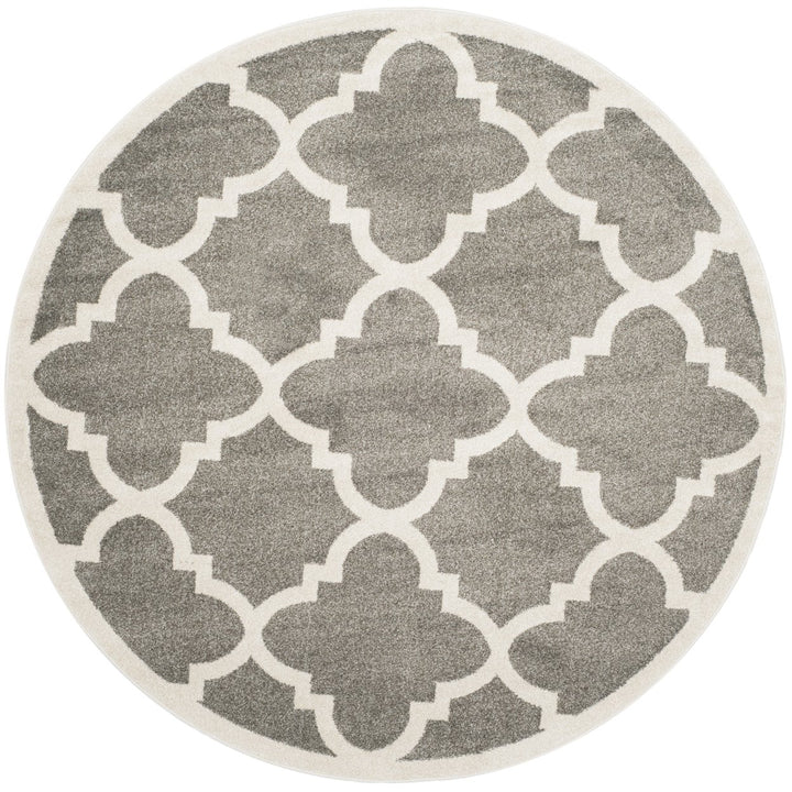 SAFAVIEH AMT423R Amherst Dark Grey / Beige Image 1