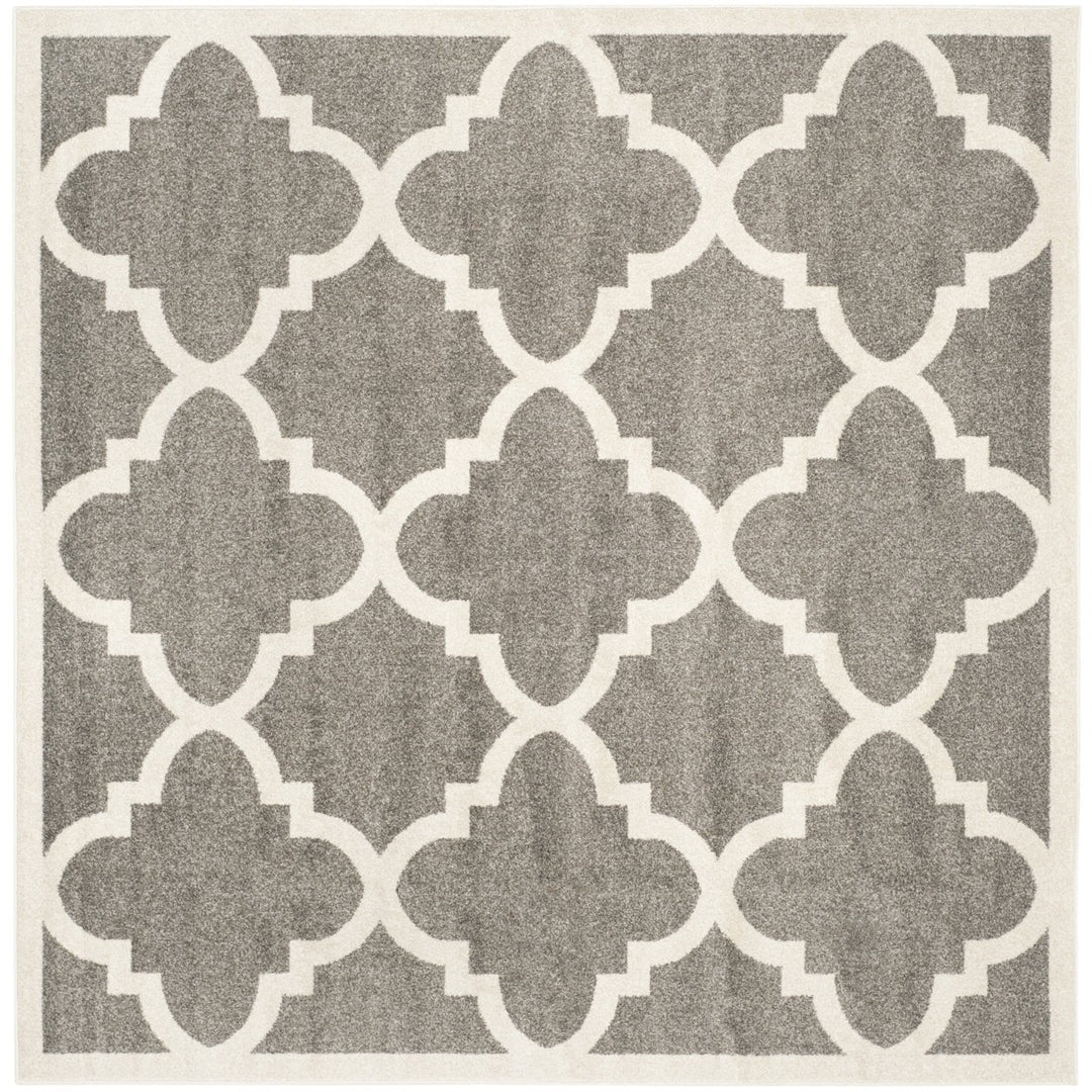 SAFAVIEH AMT423R Amherst Dark Grey / Beige Image 8