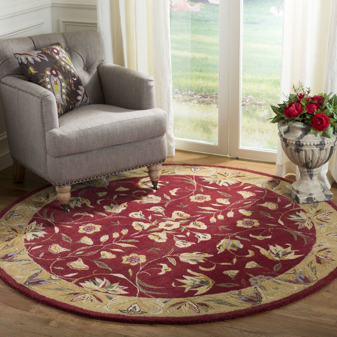 SAFAVIEH Anatolia AN526A Handmade Burgundy / Gold Rug Image 2