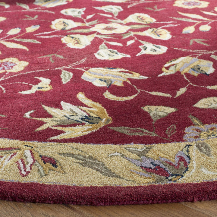 SAFAVIEH Anatolia AN526A Handmade Burgundy / Gold Rug Image 6