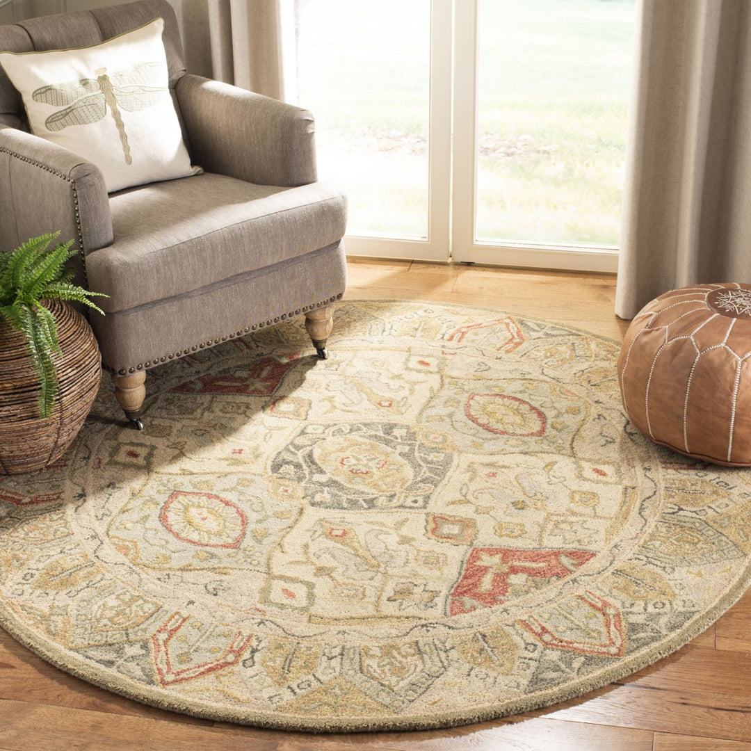 SAFAVIEH Anatolia AN530A Handmade Beige / Multi Rug Image 2