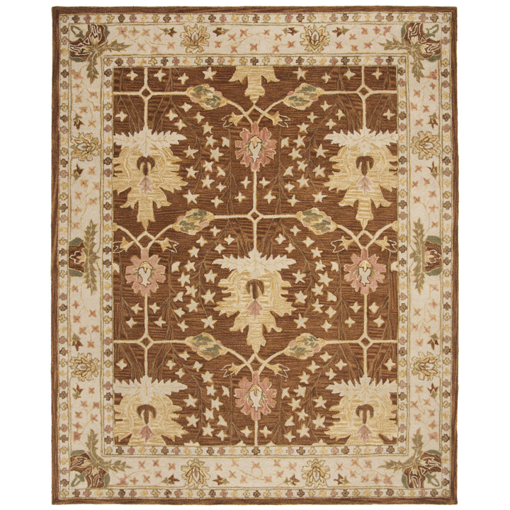 SAFAVIEH AN540B Anatolia Brown / Beige Image 1