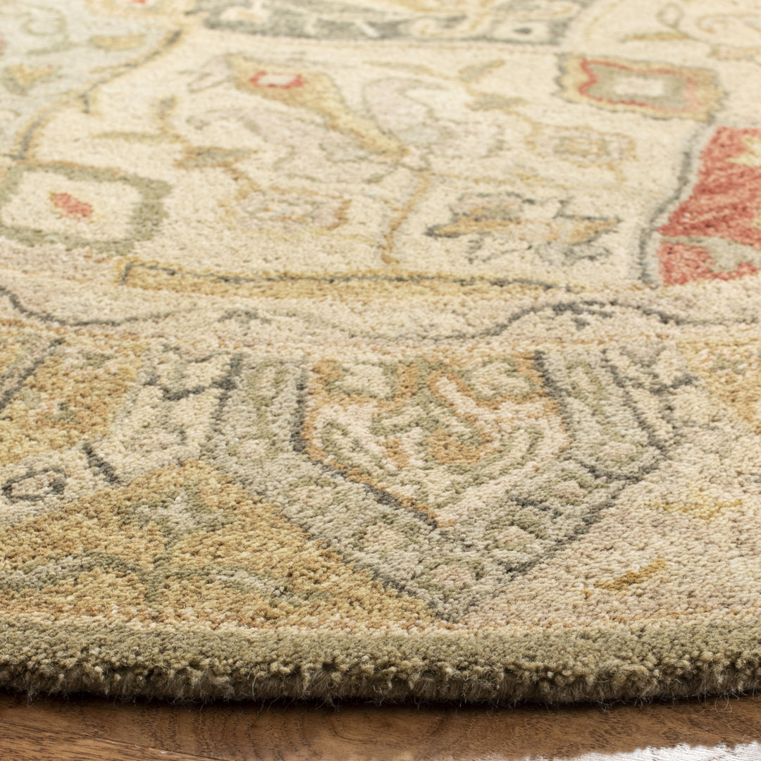 SAFAVIEH Anatolia AN530A Handmade Beige / Multi Rug Image 6