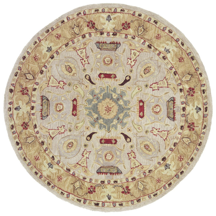 SAFAVIEH AN543C Anatolia Ivory / Gold Image 6