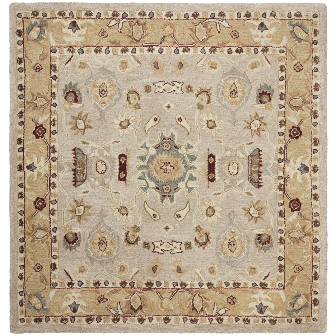 SAFAVIEH AN543C Anatolia Ivory / Gold Image 1