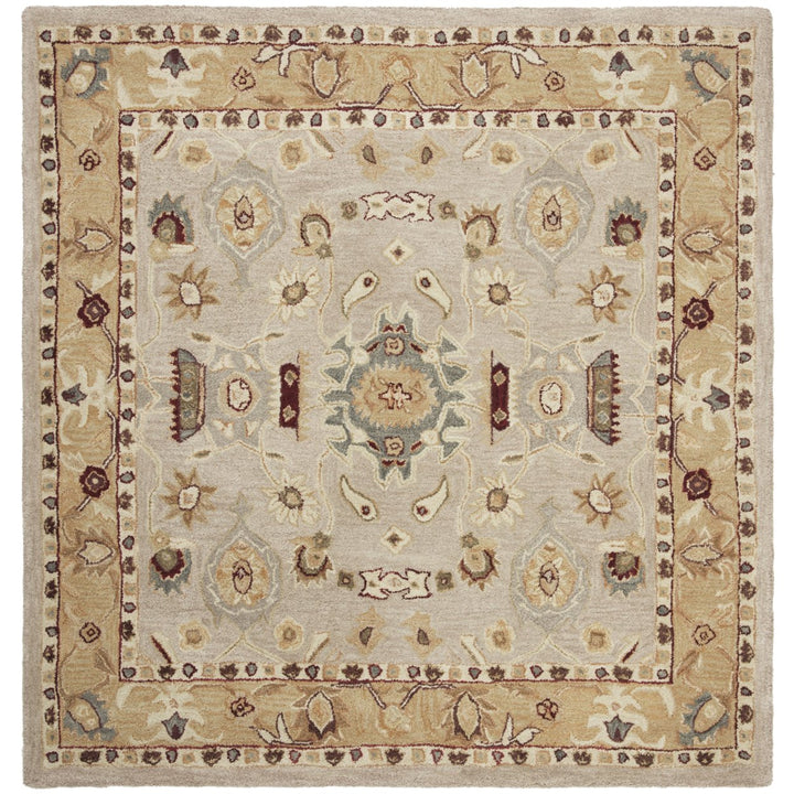 SAFAVIEH AN543C Anatolia Ivory / Gold Image 1