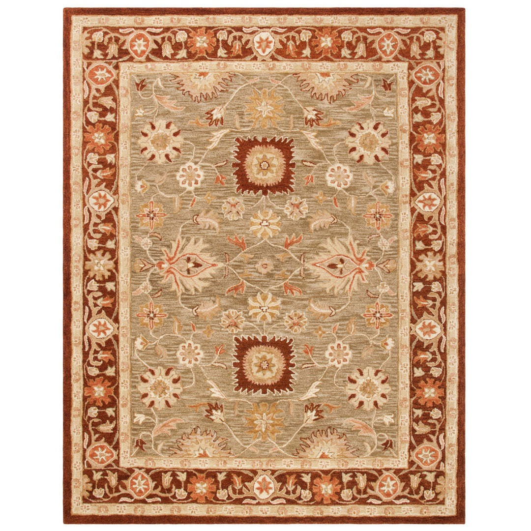 SAFAVIEH Anatolia AN556A Handmade Sage / Burgundy Rug Image 1