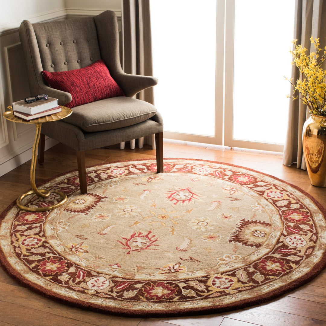 SAFAVIEH Anatolia AN556A Handmade Sage / Burgundy Rug Image 2