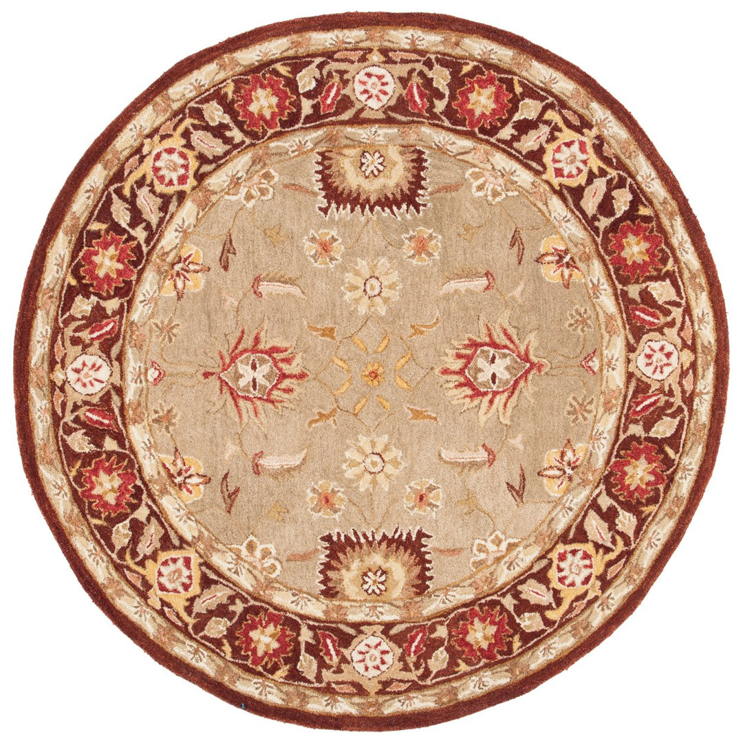 SAFAVIEH Anatolia AN556A Handmade Sage / Burgundy Rug Image 4