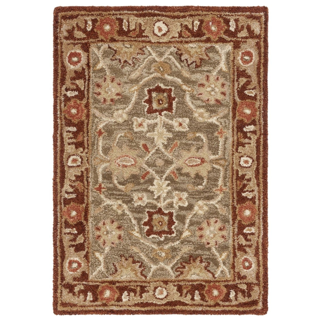 SAFAVIEH Anatolia AN556A Handmade Sage / Burgundy Rug Image 1