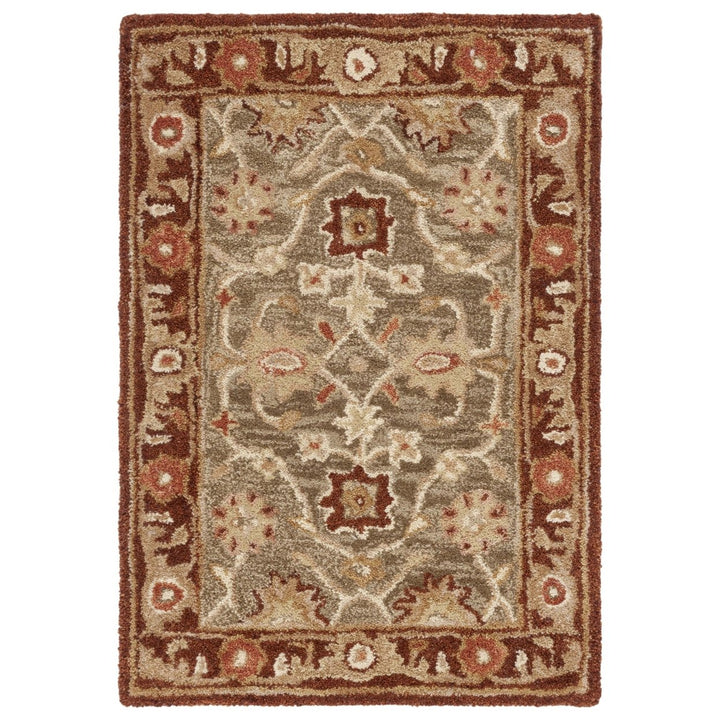 SAFAVIEH Anatolia AN556A Handmade Sage / Burgundy Rug Image 1