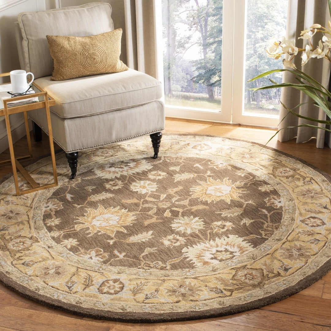 SAFAVIEH Anatolia AN556C Handmade Brown / Taupe Rug Image 2