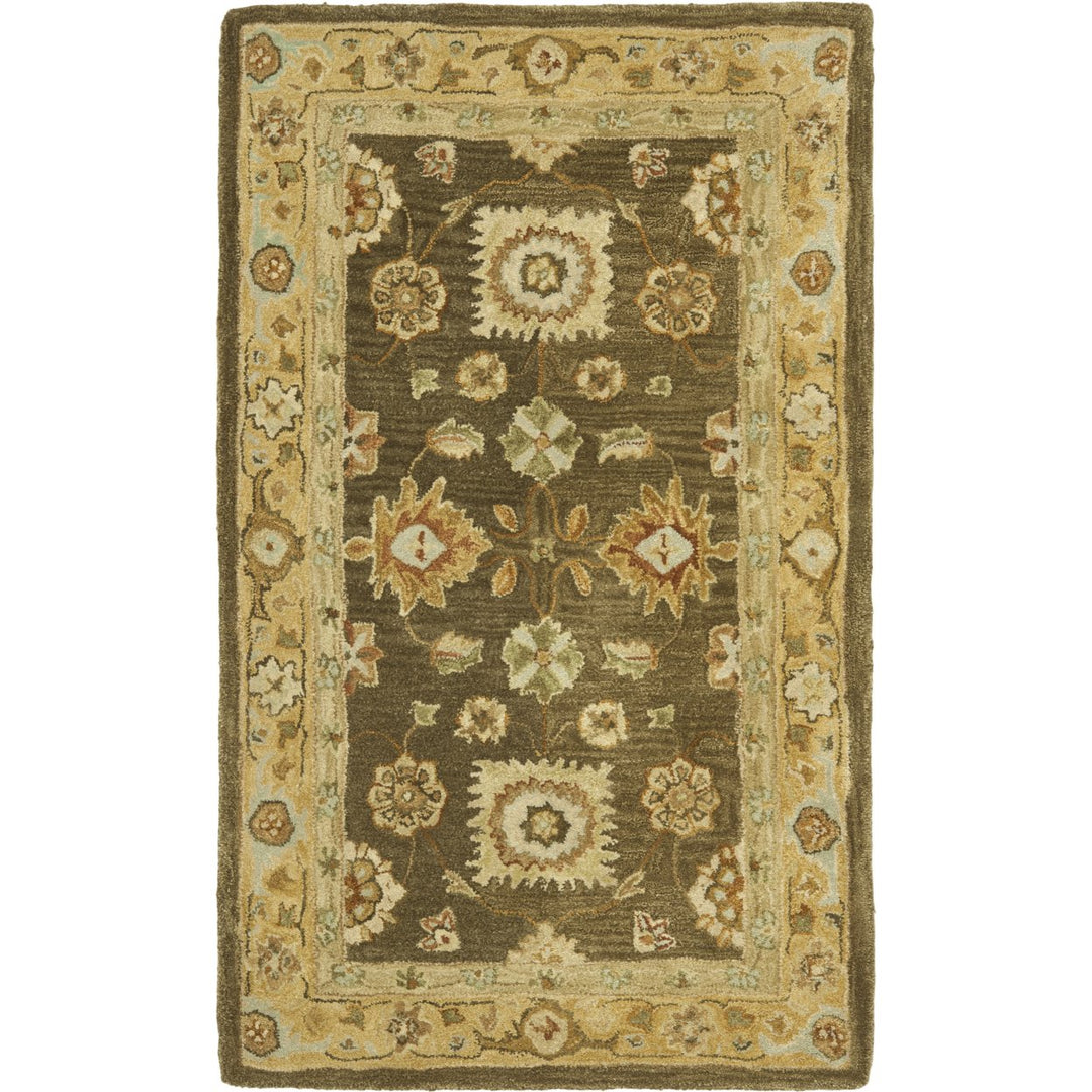 SAFAVIEH Anatolia AN556C Handmade Brown / Taupe Rug Image 1