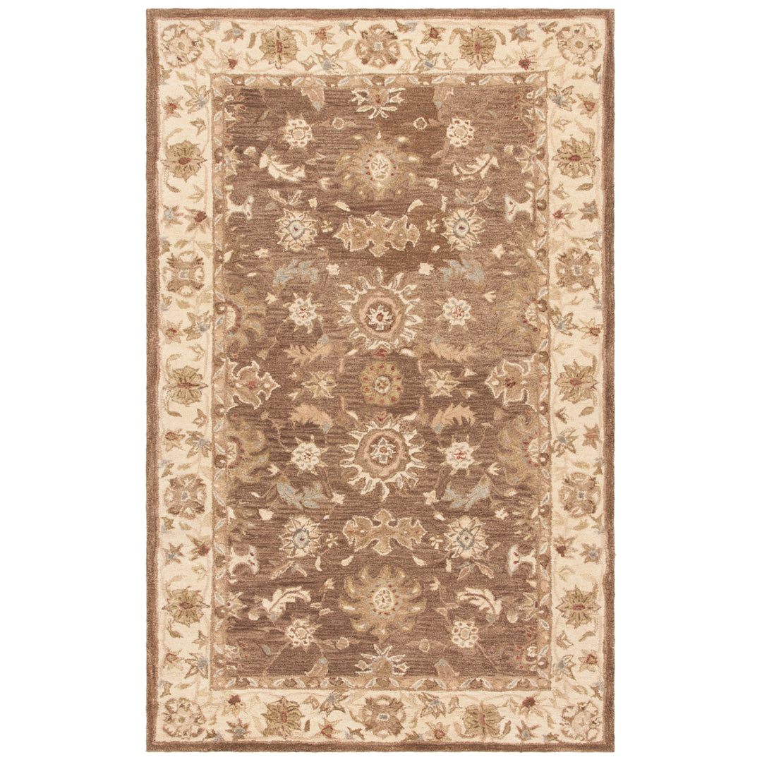 SAFAVIEH Anatolia AN557B Handmade Brown / Beige Rug Image 9