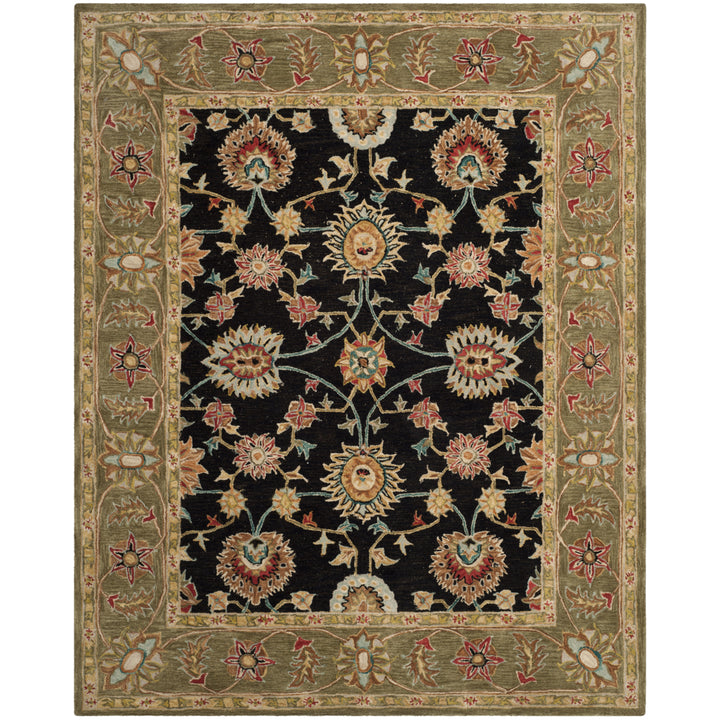 SAFAVIEH Anatolia AN561C Handmade Black / Green Rug Image 1