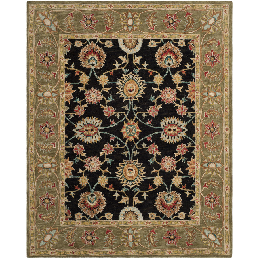 SAFAVIEH Anatolia AN561C Handmade Black / Green Rug Image 1