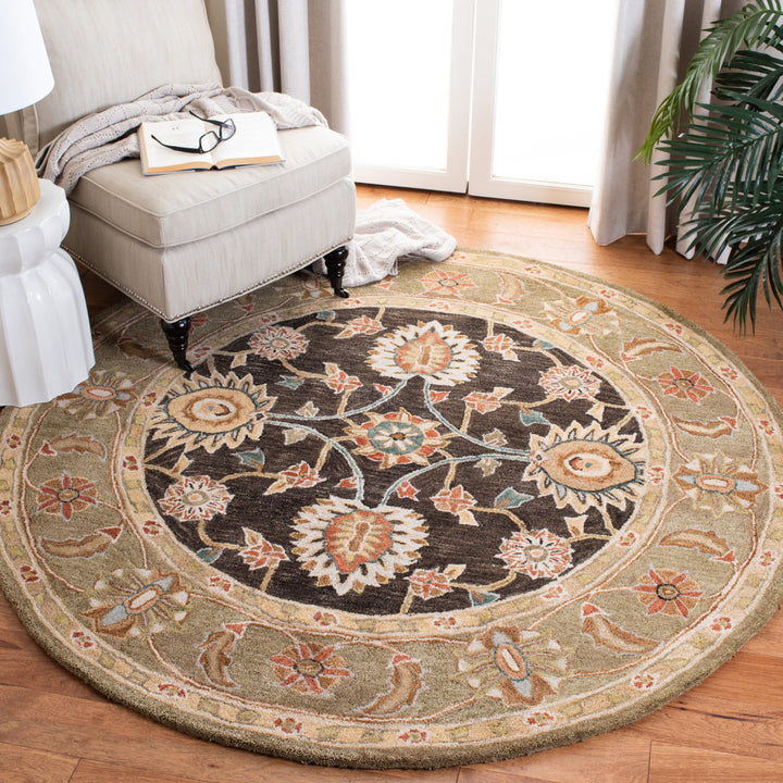 SAFAVIEH Anatolia AN561C Handmade Black / Green Rug Image 2