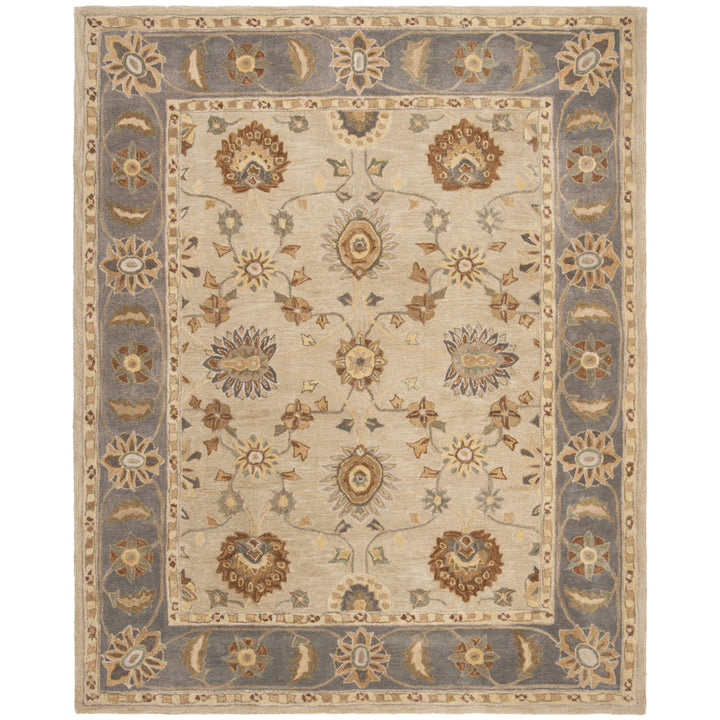 SAFAVIEH Anatolia AN561A Handmade Taupe / Grey Rug Image 1