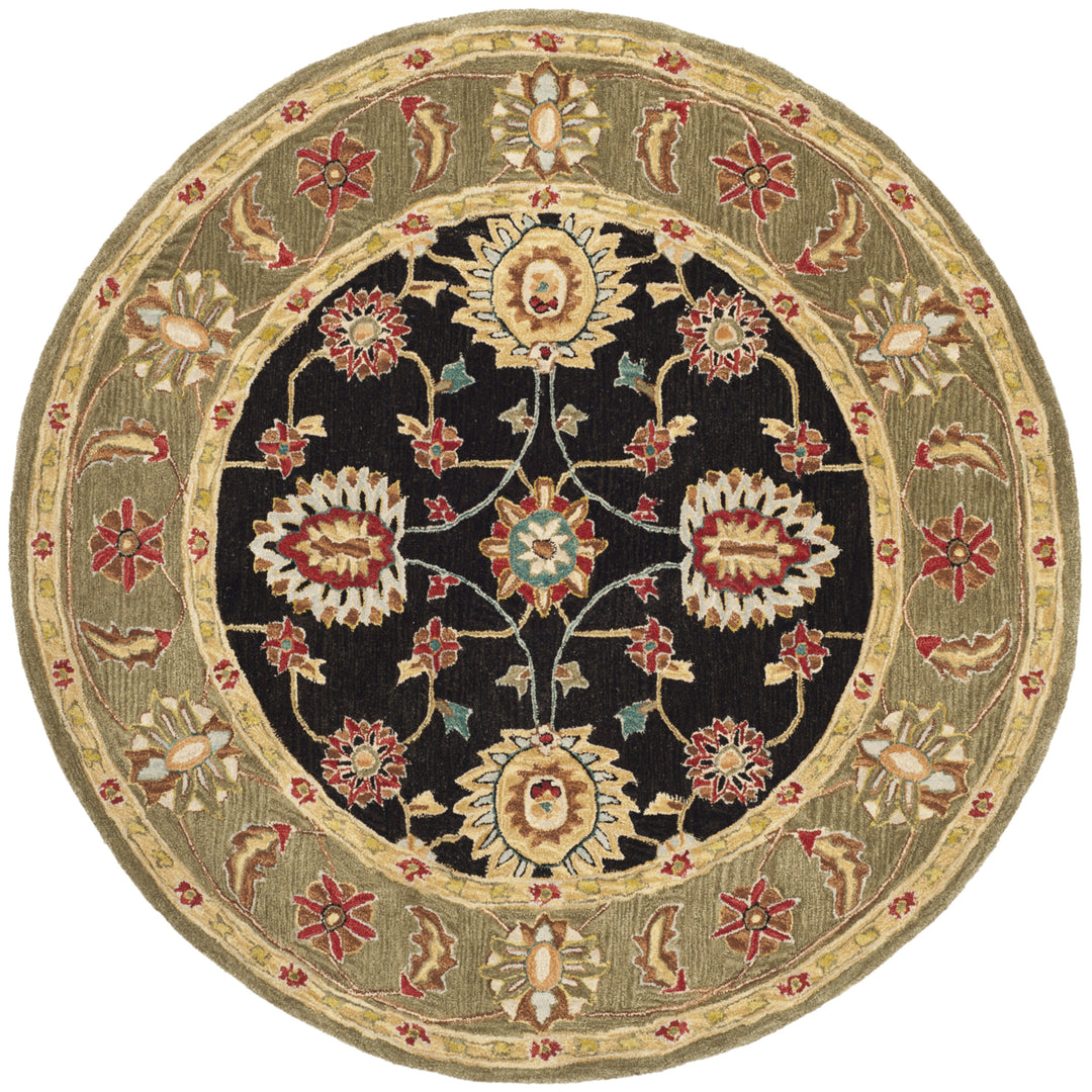 SAFAVIEH Anatolia AN561C Handmade Black / Green Rug Image 4