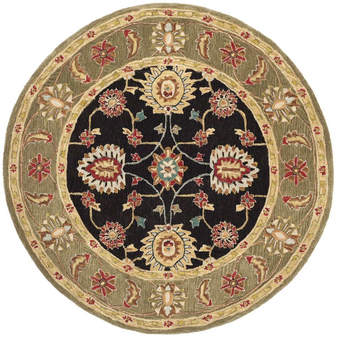 SAFAVIEH Anatolia AN561C Handmade Black / Green Rug Image 1