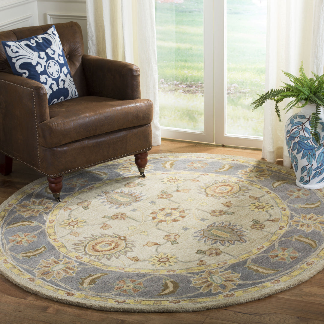 SAFAVIEH Anatolia AN561A Handmade Taupe / Grey Rug Image 2