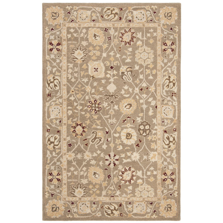 SAFAVIEH Anatolia AN559A Handmade Beige / Sage Rug Image 1