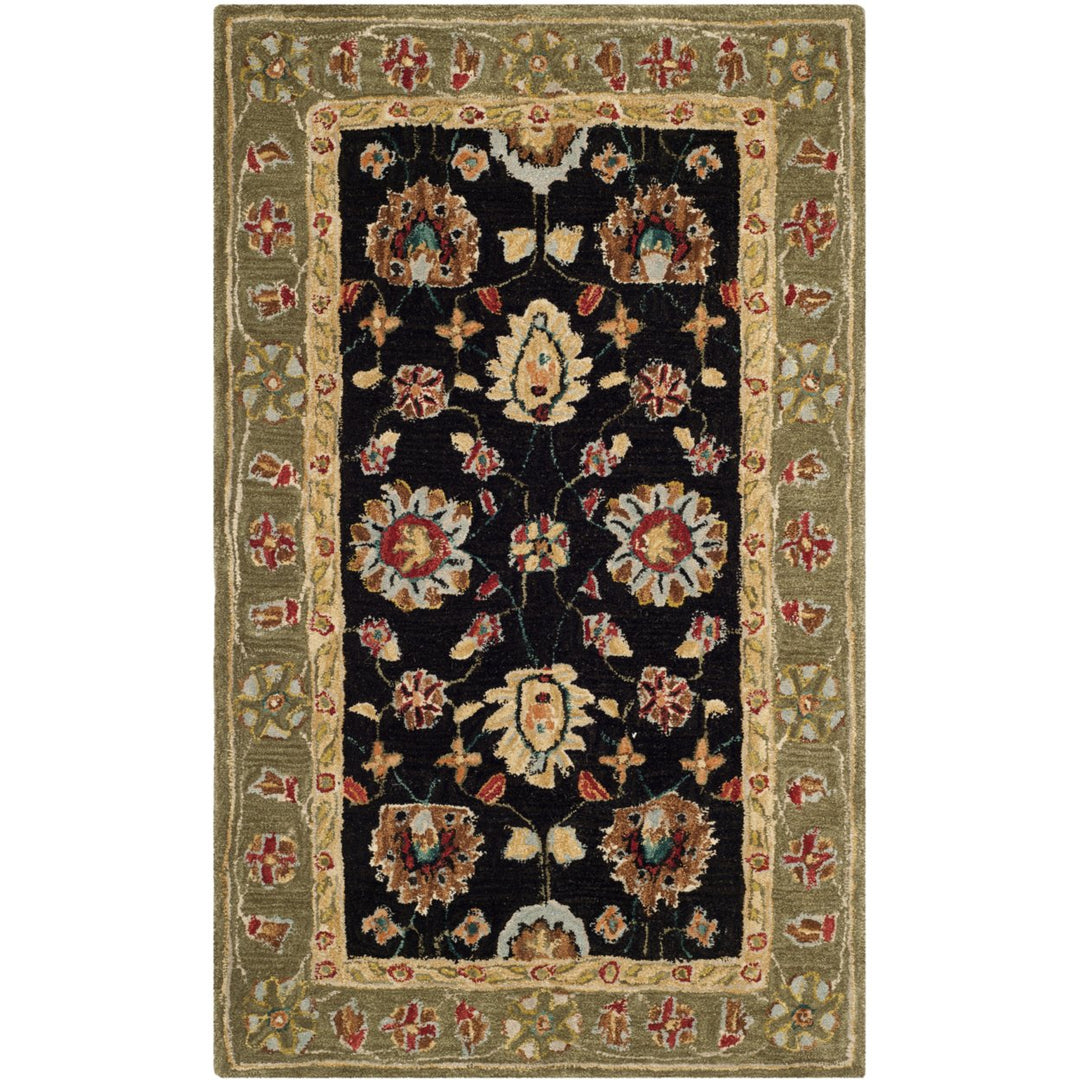 SAFAVIEH Anatolia AN561C Handmade Black / Green Rug Image 1