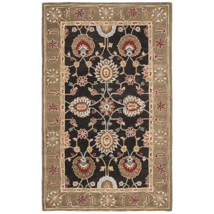 SAFAVIEH Anatolia AN561C Handmade Black / Green Rug Image 9