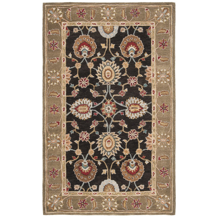 SAFAVIEH Anatolia AN561C Handmade Black / Green Rug Image 1