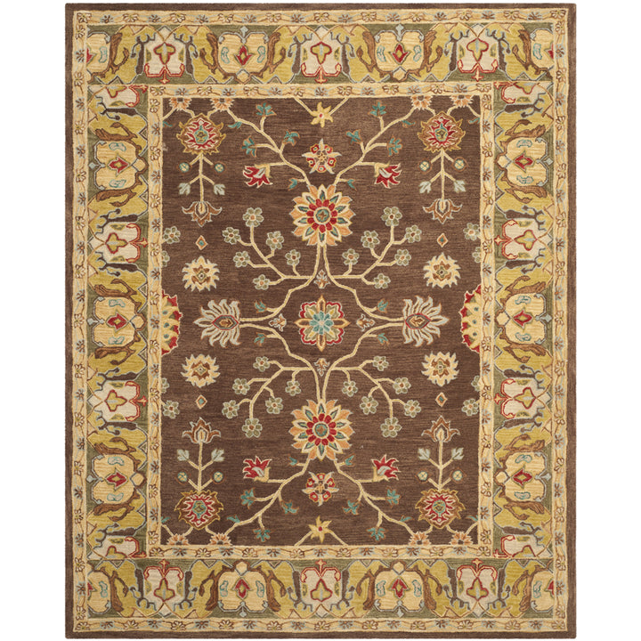 SAFAVIEH Anatolia AN562A Handmade Brown / Gold Rug Image 1