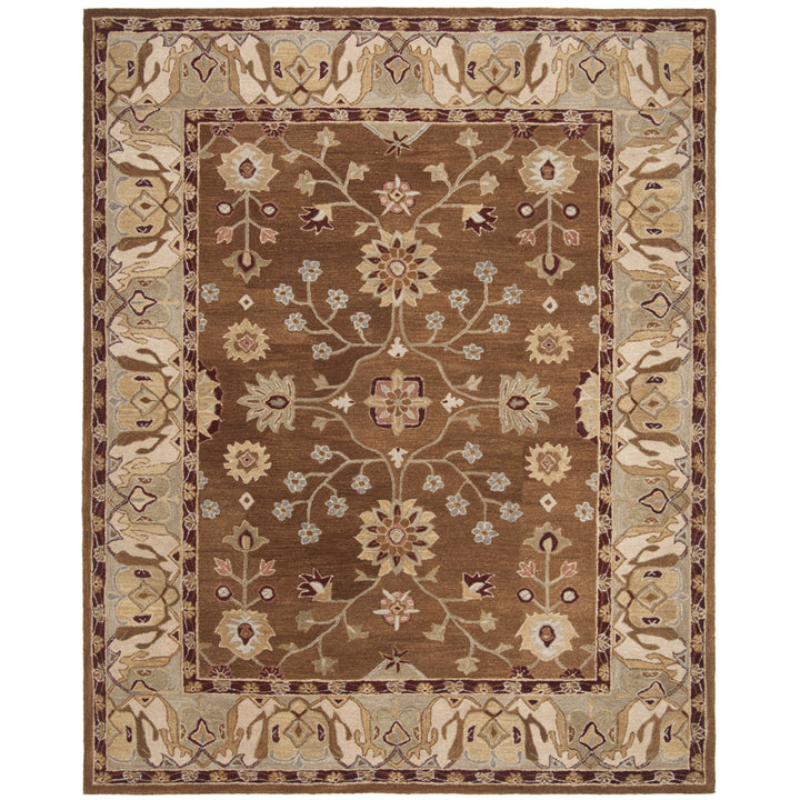 SAFAVIEH Anatolia AN562B Handmade Tan / Ivory Rug Image 1