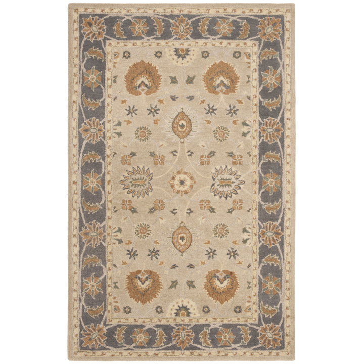 SAFAVIEH Anatolia AN561A Handmade Taupe / Grey Rug Image 9