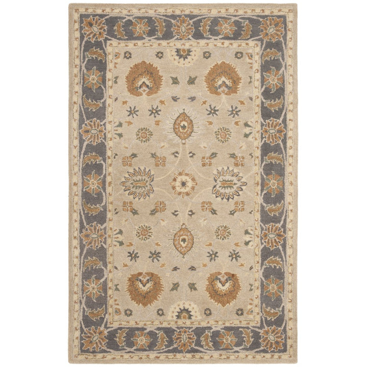 SAFAVIEH Anatolia AN561A Handmade Taupe / Grey Rug Image 1