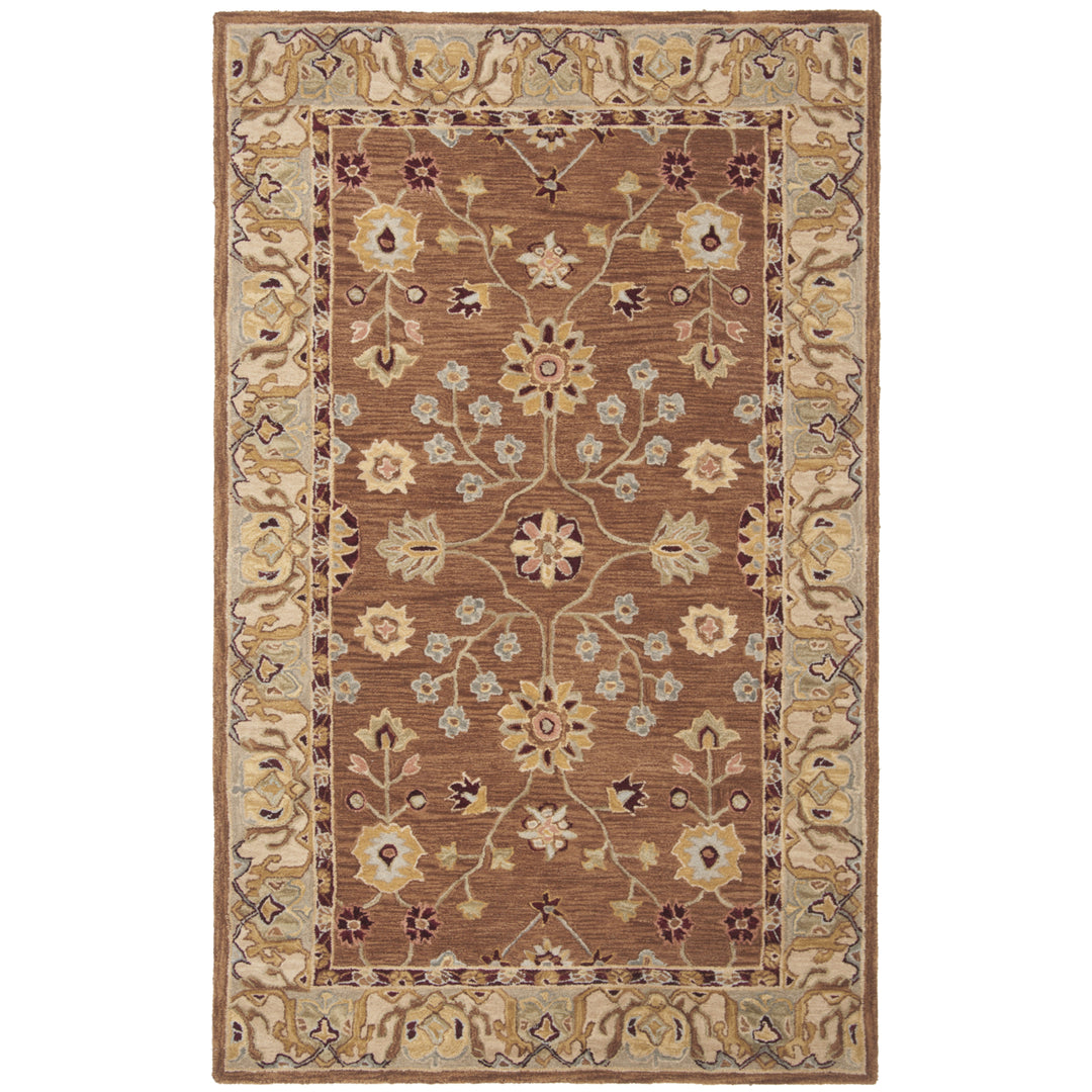 SAFAVIEH Anatolia AN562B Handmade Tan / Ivory Rug Image 9