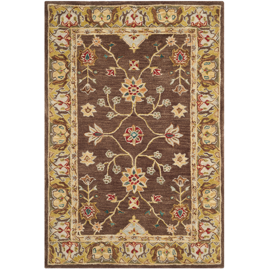 SAFAVIEH Anatolia AN562A Handmade Brown / Gold Rug Image 9