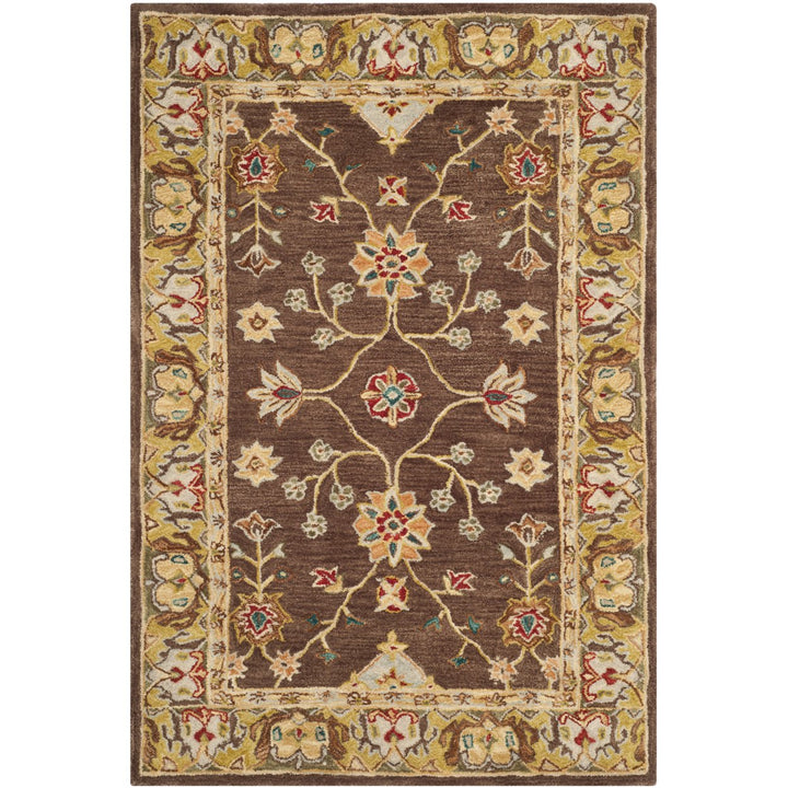 SAFAVIEH Anatolia AN562A Handmade Brown / Gold Rug Image 1