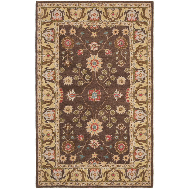 SAFAVIEH Anatolia AN562A Handmade Brown / Gold Rug Image 10