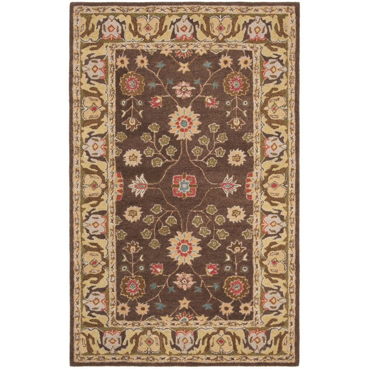 SAFAVIEH Anatolia AN562A Handmade Brown / Gold Rug Image 1