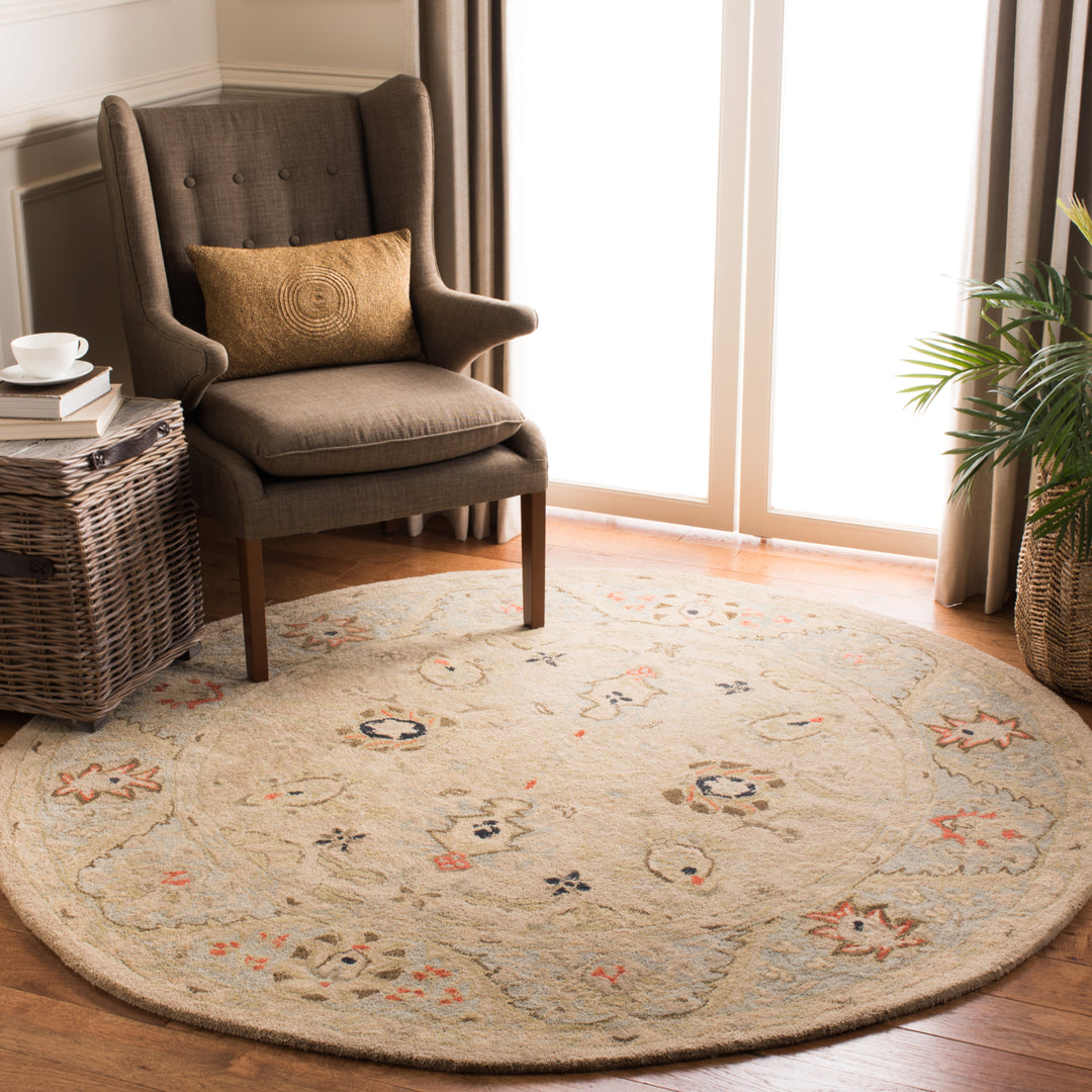 SAFAVIEH Anatolia AN569C Natural / Soft Turquoise Rug Image 2