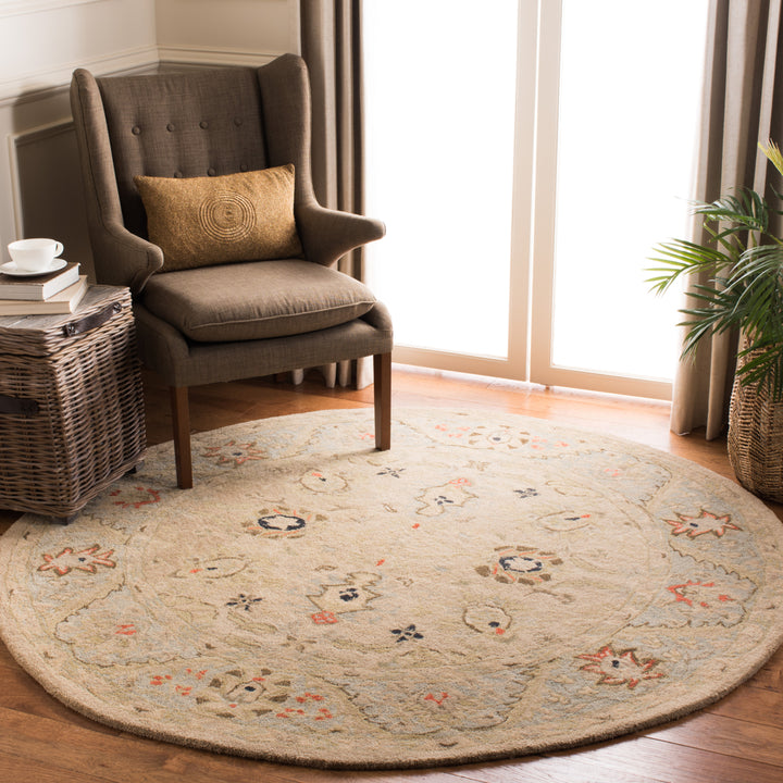 SAFAVIEH Anatolia AN569C Natural / Soft Turquoise Rug Image 2