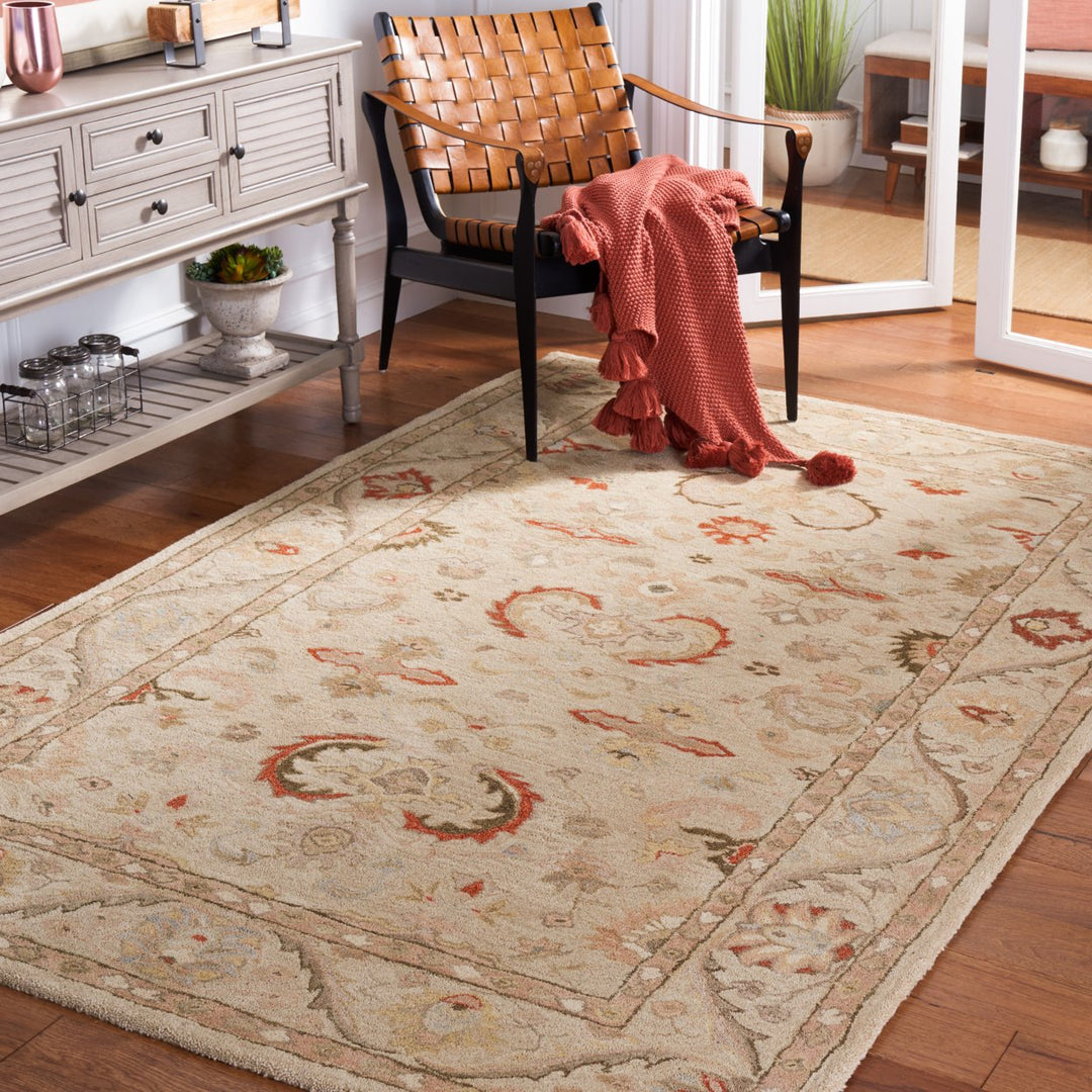 SAFAVIEH Anatolia AN570A Handmade Beige / Beige Rug Image 1