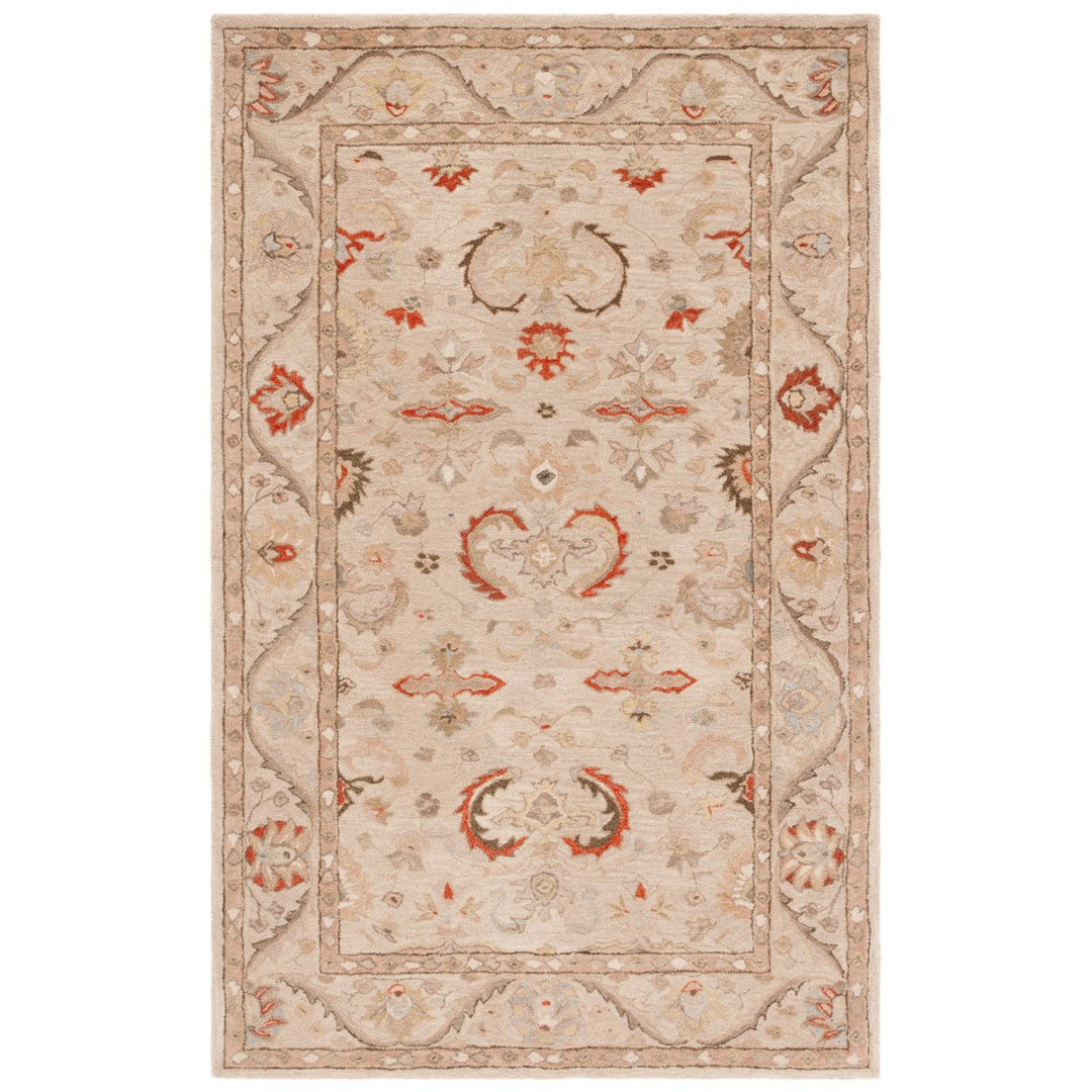 SAFAVIEH Anatolia AN570A Handmade Beige / Beige Rug Image 5