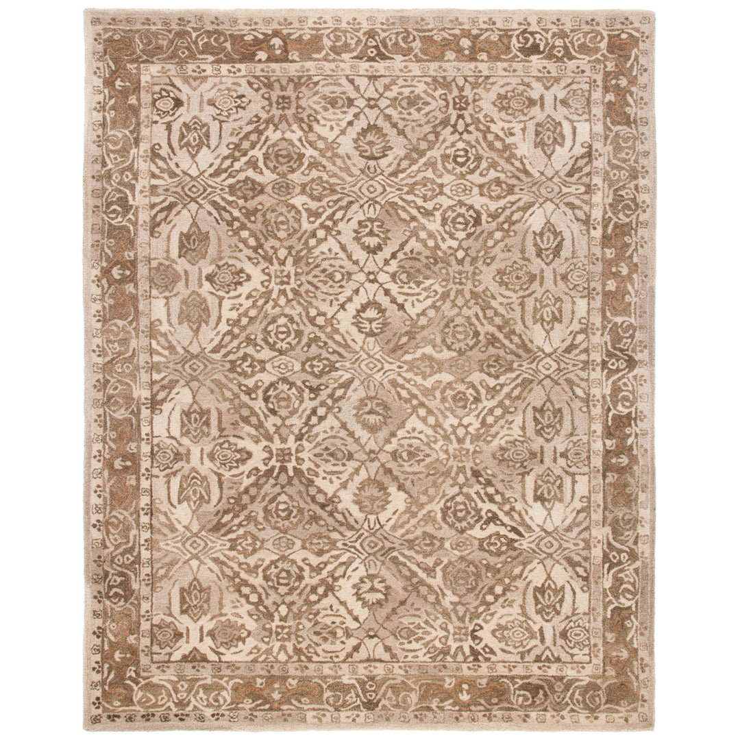 SAFAVIEH Anatolia AN583C Handmade Ivory / Brown Rug Image 1