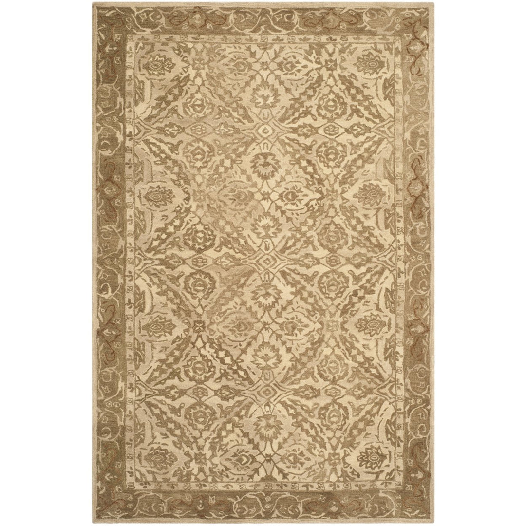 SAFAVIEH Anatolia AN583C Handmade Ivory / Brown Rug Image 8