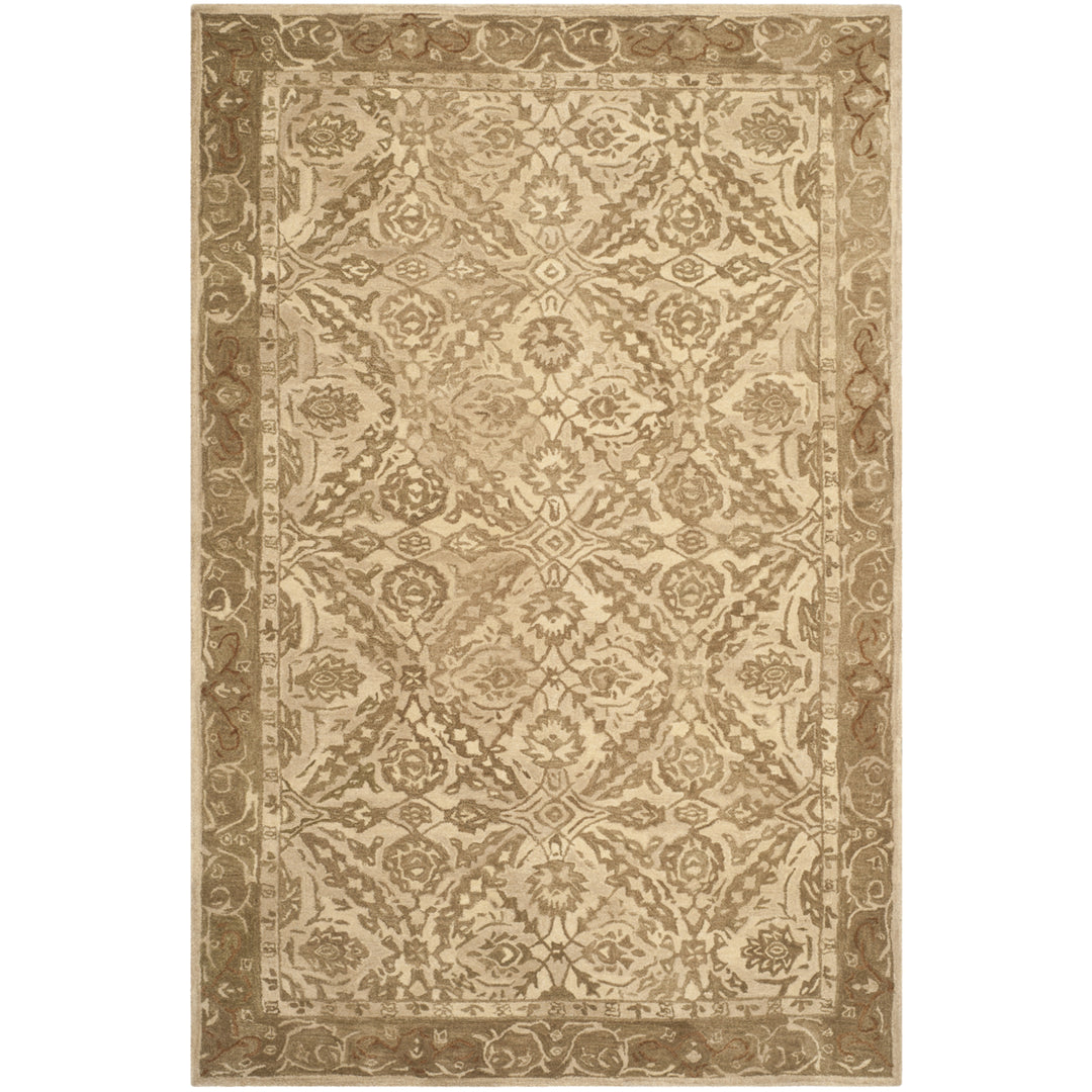 SAFAVIEH Anatolia AN583C Handmade Ivory / Brown Rug Image 1