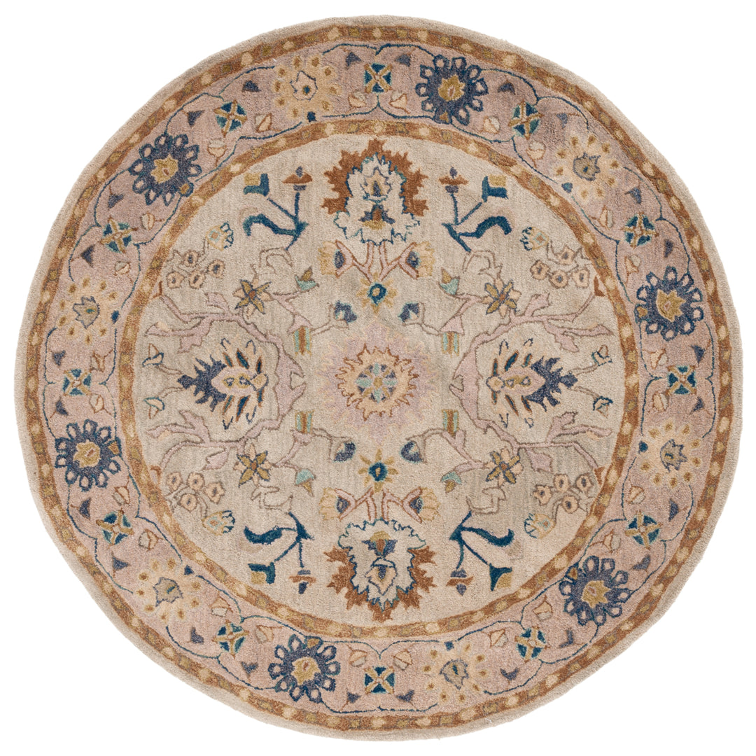 SAFAVIEH Anatolia AN585B Handmade Ivory / Beige Rug Image 4