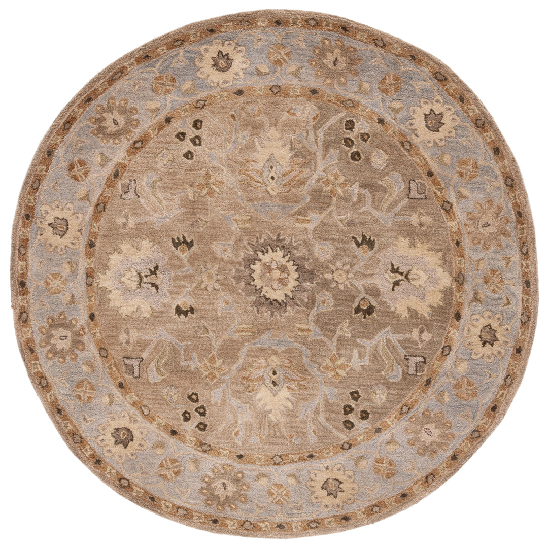 SAFAVIEH Anatolia AN585F Handmade Tan / Ivory Rug Image 4