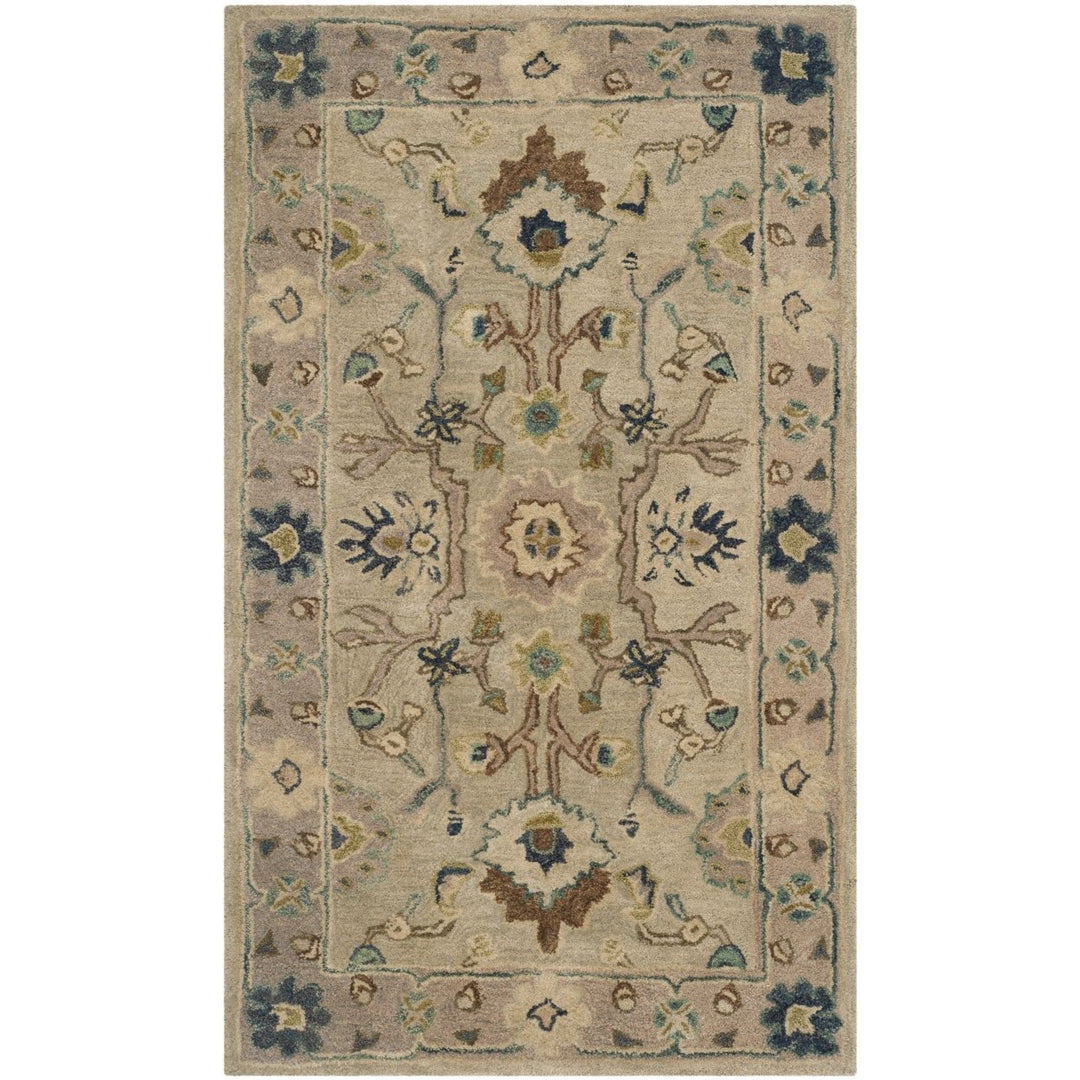 SAFAVIEH Anatolia AN585B Handmade Ivory / Beige Rug Image 8