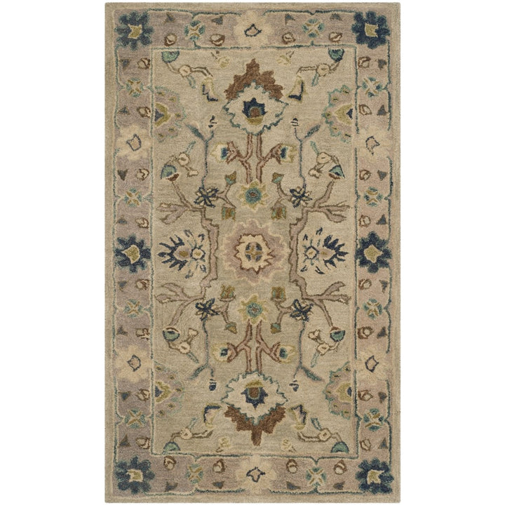 SAFAVIEH Anatolia AN585B Handmade Ivory / Beige Rug Image 8